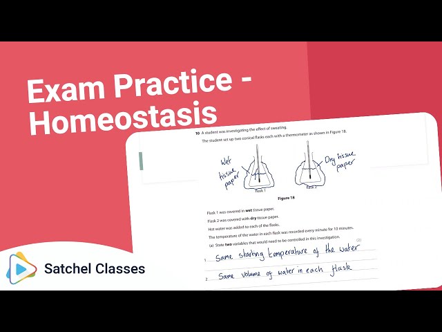 Biology  Sample Exam Questions  Homeostasis and Response | Biology | Satchel Classes