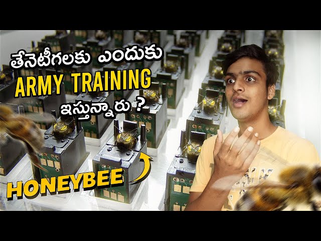 Bees Army Training 😮 | Top 6 Amazing & Interesting Facts | Telugu Facts