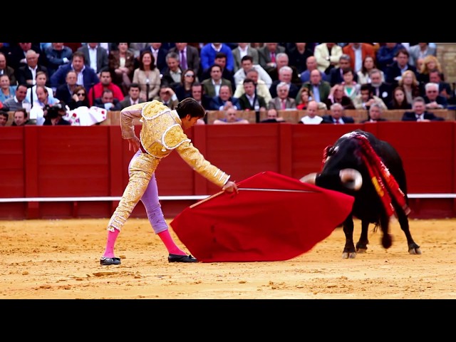 Matadors get Gored by Bulls | Spanish Bull Fighting Legends!