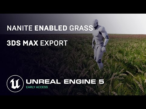 Unreal Engine 5 Nanite Grass | GTX 1050 ti | Export From 3DS Max 2022 to UE5