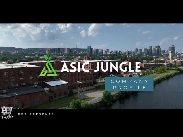 Who is ASIC Jungle?