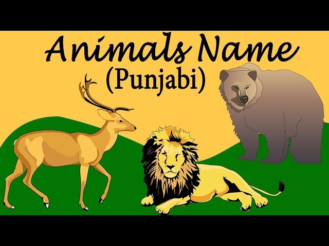 Punjabi Animals Name For Beginners | Matra & Vowels Learning | Pronounce The Words
