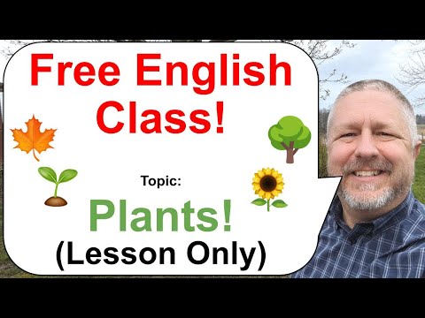 Shorter Versions of My Live English Lessons (No Viewer Questions)