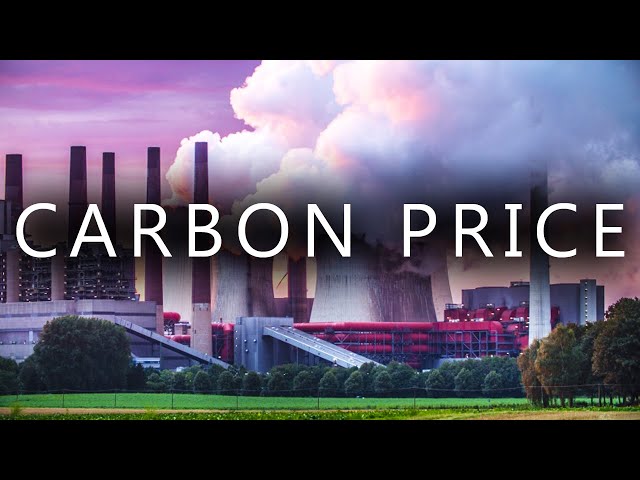 Exploring Carbon Pricing Methods