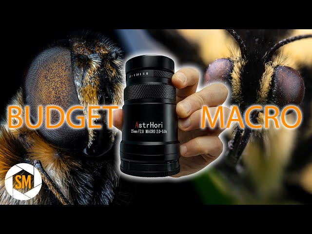 Astrhori 25mm F2.8 2-5X Macro Review - EXTREME MACRO PHOTOGRAPHY ON A BUDGET!