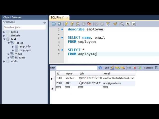 SQL Tutorial - 14: The SELECT Query