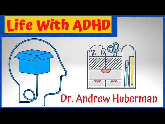 Common Characteristics of People with ADHD | Dr. Andrew Huberman