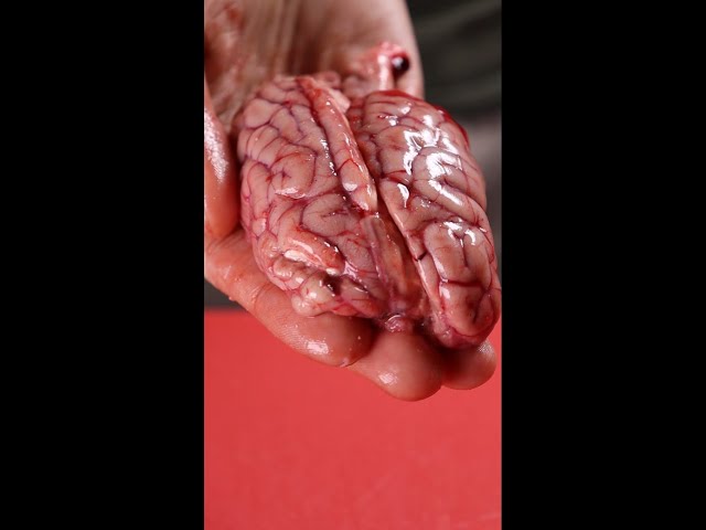 How To Eat Brains | #Shorts Recipes