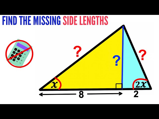Olympiad Math | Can you find the missing side lengths? | #math #maths | #geometry