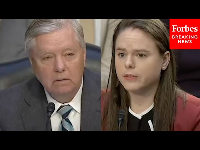 'Are You Aware Of All That?': Lindsey Graham Questions Witness About Guns