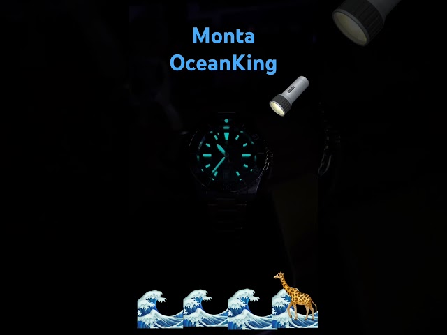 Monta OceanKing V3 - Hit the lights!!!!