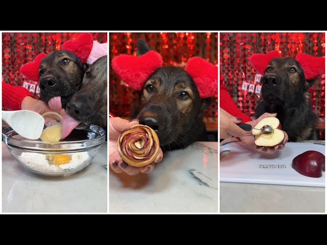 Baked Apple Roses For Dogs Recipe