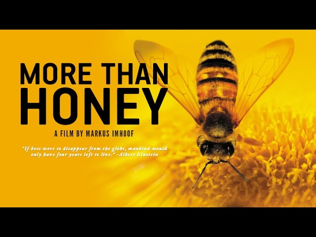More Than Honey (2012) Official UK Theatrical Trailer featuring John Hurt narration
