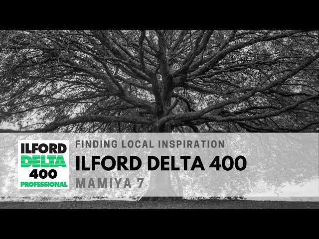 Mamiya 7 with Ilford Delta 400 for B&W Landscape Photography