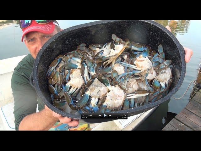 killing and cleaning live crabs. humanely!!!