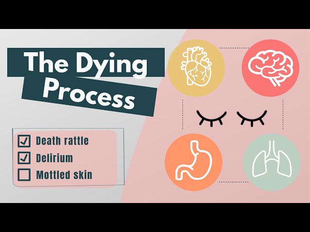 What are the last days before death like? | Signs of approaching death