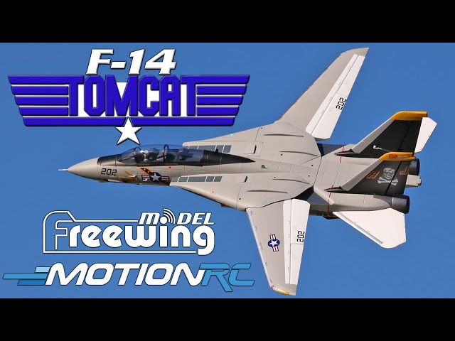 All-New Freewing F-14 Tomcat Twin 64mm EDF Jet | Motion RC