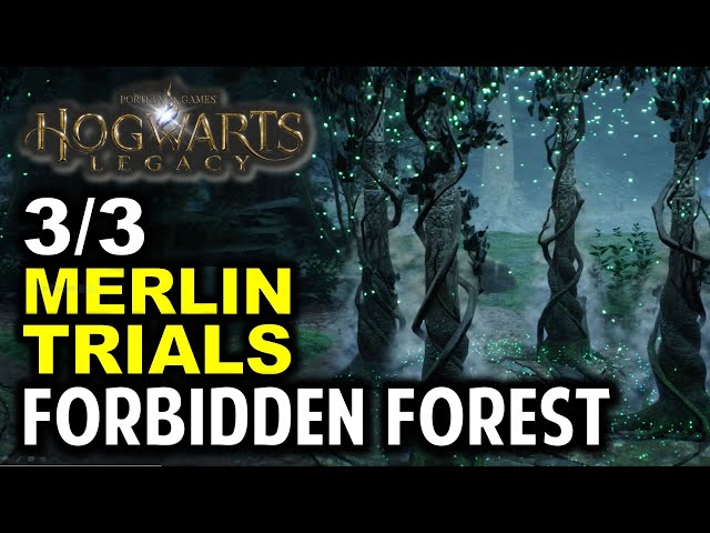 Forbidden Forest: All 3 Merlin Trial Location & Puzzle Solution | Hogwarts Legacy