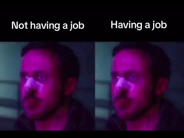 Not having a job Having a job [Meme]