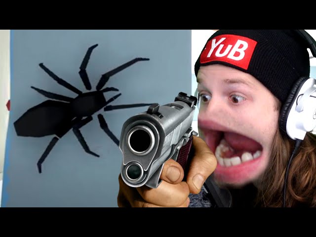 how to kill spiders easy method (use a gun)