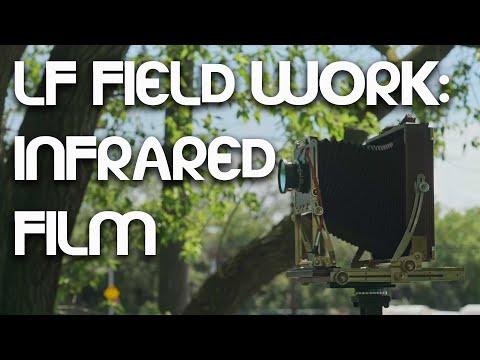 LF Field Work