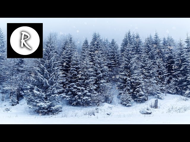 Blizzard Storm, Relaxing Sounds for Sleep | Howling Wind & Snowstorm, Winter Ambiance 4K