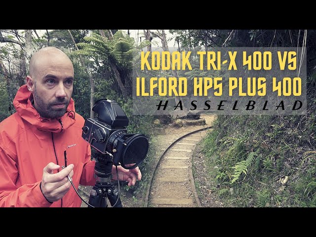 Kodak Tri-X 400 vs Ilford HP5 Plus 400 with the Hasselblad 503CW