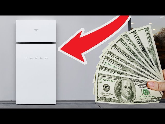 Tesla's Secret Business Model That PAYS You!