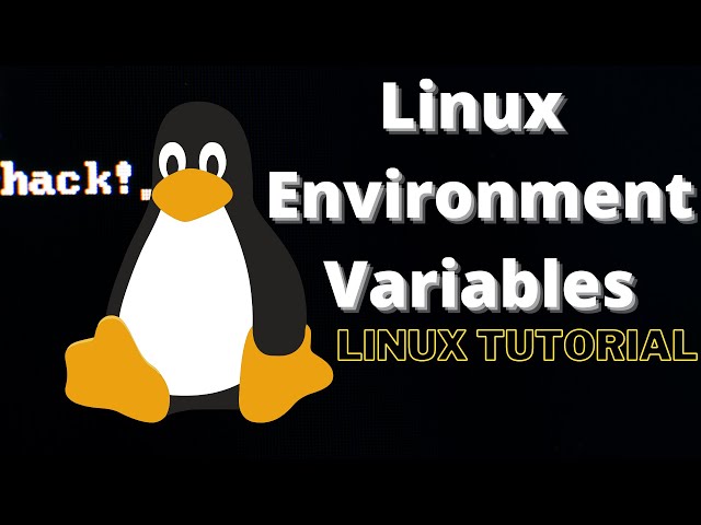Linux Environment Variables : Linux Tutorial