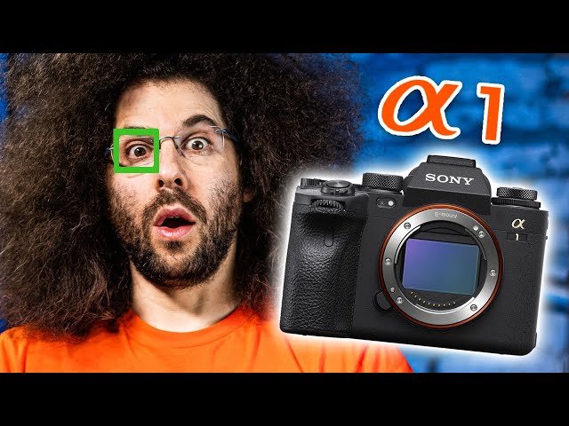 Sony a1 Real World Auto Focus PREVIEW #Shorts