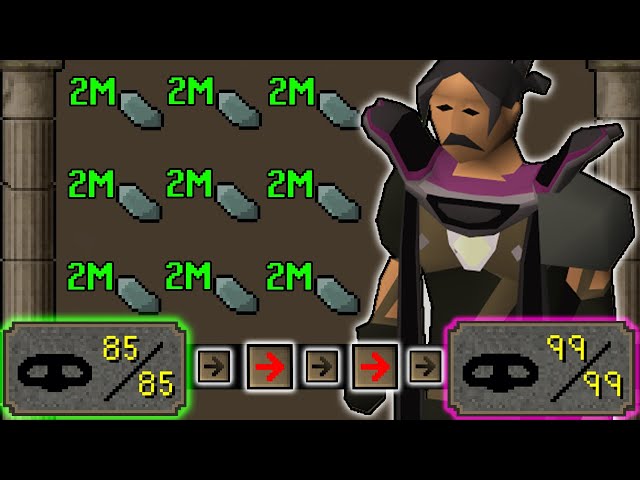I Used the Most Profitable Thieving Money Makers All the Way to 99! Trader Steve #24