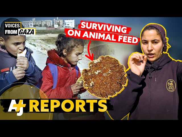 ‘It’s Bisan From Gaza, And Children Are Starving To Death’