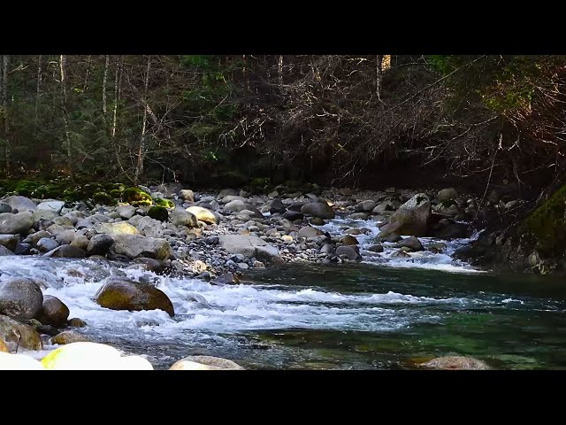 Springtime River | River Rushing Sounds