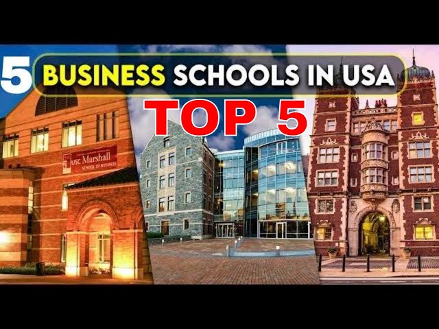 Top 5 Undergraduate Business Schools in USA