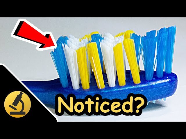 Toothbrush Under the Microscope [1080p Full HD]
