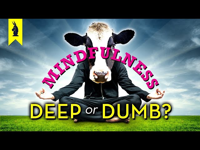 MINDFULNESS: Is It Deep or Dumb? – Wisecrack Edition