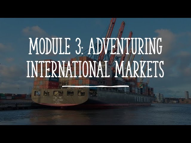 Module 3 Export market, local market or both?