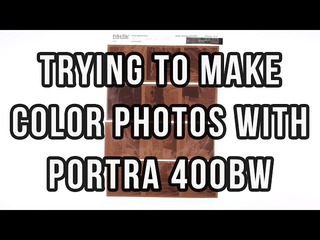 Kodak Portra 400BW
