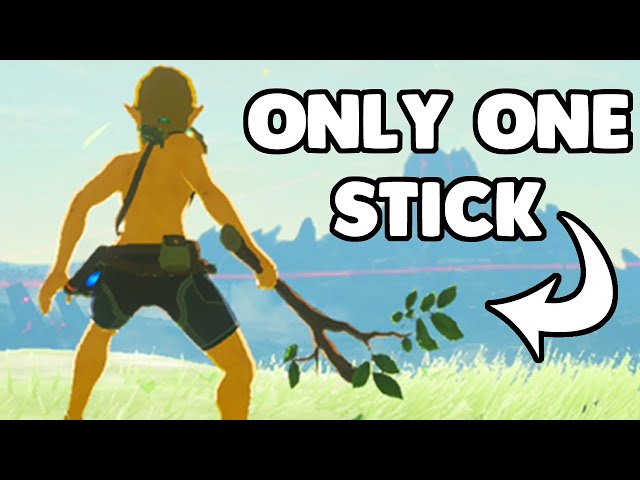 I Beat Breath of the Wild with a Single Stick