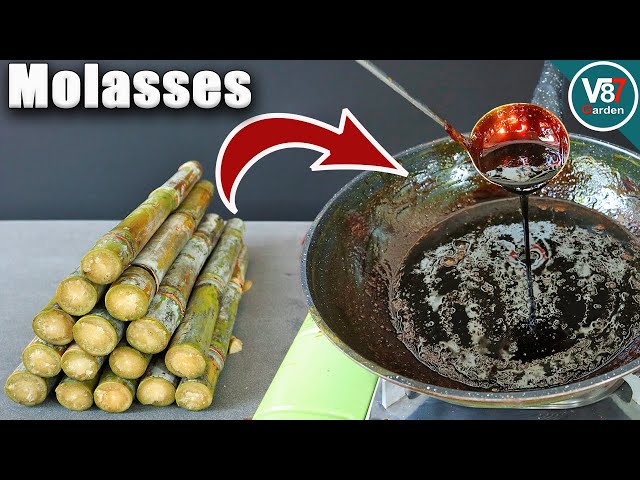 How to Make Molasses From Sugarcane Juice at Home