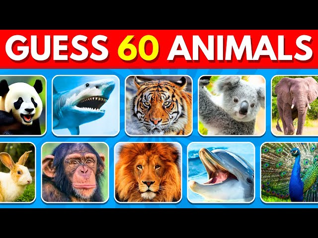 Guess 60 Animals in 5 Seconds | Easy, Medium, Hard, Impossible