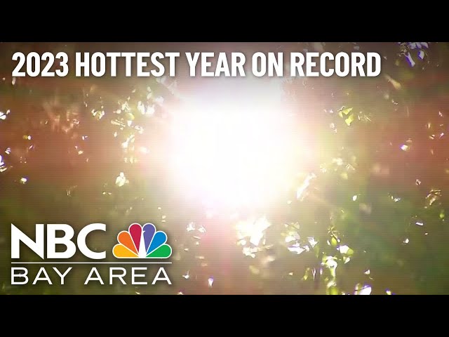 2023 is officially the hottest year on record, data shows