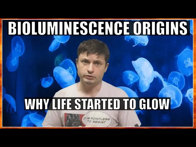 Major Secrets Revealed by First Bioluminescent Organism on Earth