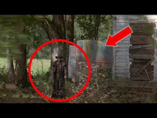 Top 8 Jeeper Creepers Caught On Camera In Real Life