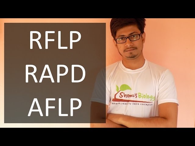 Genetic Markers | RAPD, RFLP, AFLP