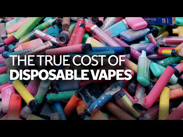 The true cost of disposable vapes | On the Ground