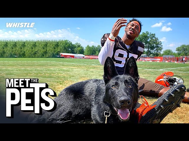 Myles Garrett Practices CHASING DOWN QBs With His Dog!? 🔥