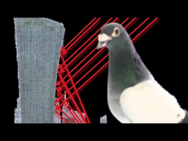 How to Melt Cars and BBQ Pigeons - Sixty Symbols