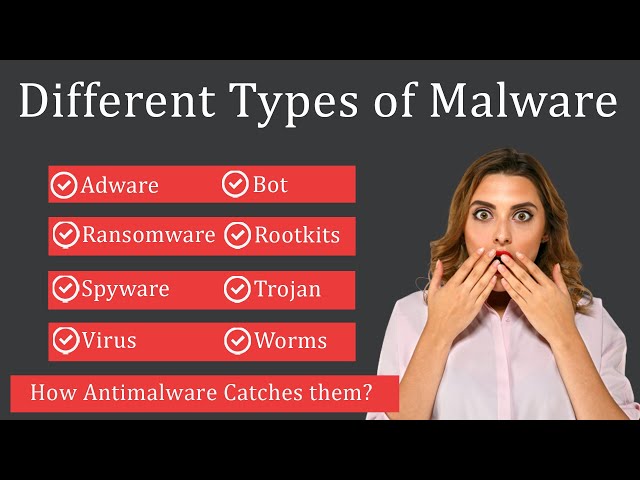 Different Types of Malware Explained | How does Anti-malware Detects them?