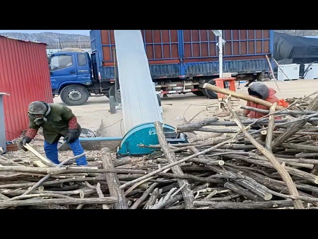 Amazing powerful wood chipper working - Sawdust factory.